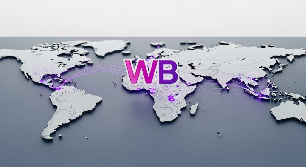 Wildberries планирует международную экспансию в Азию и Африку