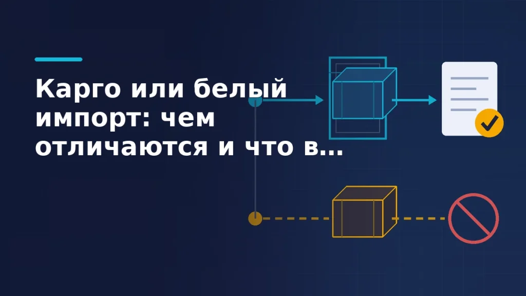 Тёмно-синяя обложка: ящик проходит бирюзовую таможенную рамку и получает документ с жёлтой галочкой, второй ящик идёт пунктиром мимо рамки к красному перечёркнутому кругу