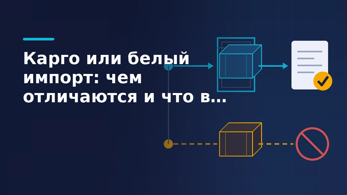 Тёмно-синяя обложка: ящик проходит бирюзовую таможенную рамку и получает документ с жёлтой галочкой, второй ящик идёт пунктиром мимо рамки к красному перечёркнутому кругу