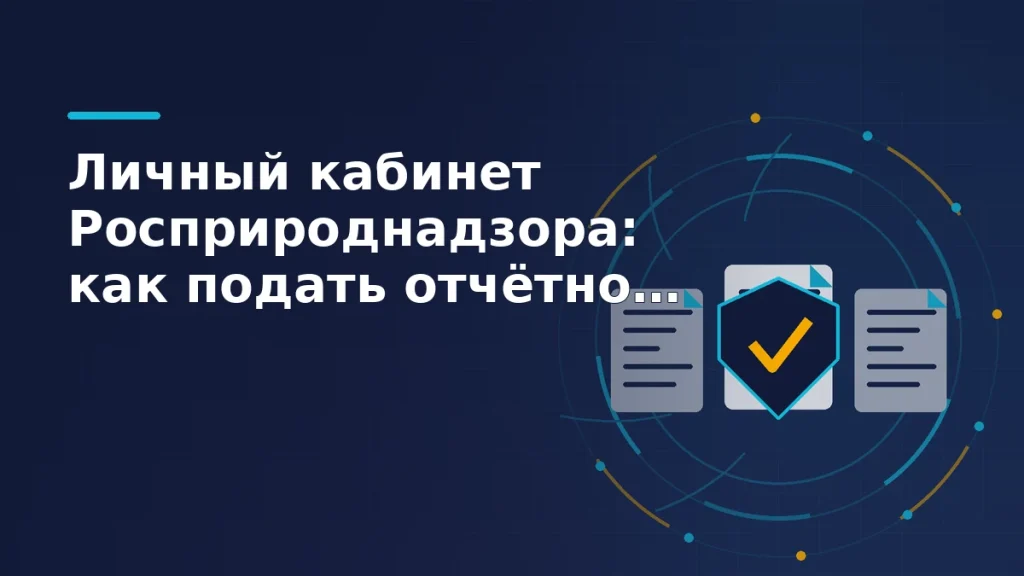Тёмно-синяя обложка: три белых листа отчётности уходят в защитный щит с жёлтой галочкой, вокруг бирюзовые дуги доступа