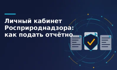 Личный кабинет Росприроднадзора: как подать отчётность по экосбору