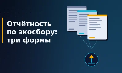 Отчётность по экосбору: декларация, отчёт о выполнении норматива и расчёт