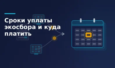 Сроки уплаты экосбора и куда платить