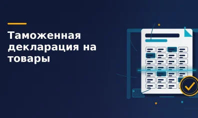 Таможенная декларация на товары: что в ней и кто подаёт