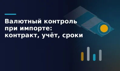 Валютный контроль при импорте: контракт, учёт, сроки