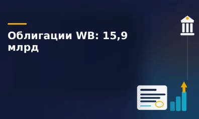 Wildberries разместил облигации на 15,9 млрд рублей: тест перед IPO или поиск новых источников финансирования?