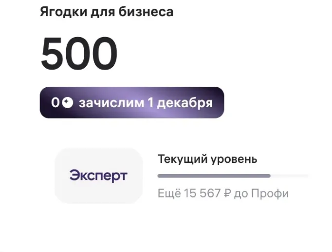 Программа лояльности «Ягодки для бизнеса»: экран шага 12 в кабинете Wildberries