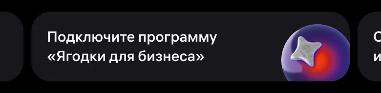 Программа лояльности «Ягодки для бизнеса»: экран шага 17 в кабинете Wildberries