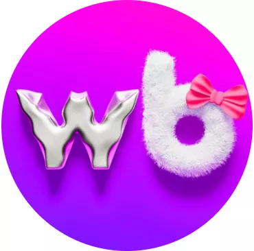 Проекты и каналы коммуникации Wildberries: экран шага 13 в кабинете Wildberries