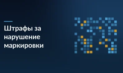 5000 рублей и конфискация — почему селлеры рискуют, не зная правил «Честного знака»