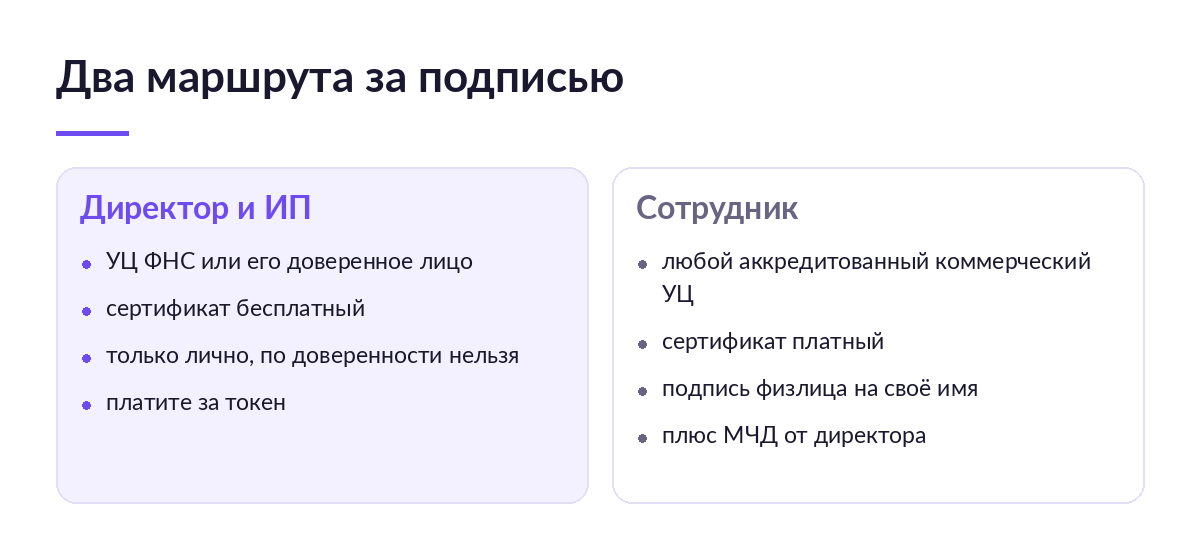 Схема двух маршрутов за подписью: директор и ИП идут в УЦ ФНС за бесплатным сертификатом, сотрудник — в коммерческий УЦ и оформляет МЧД