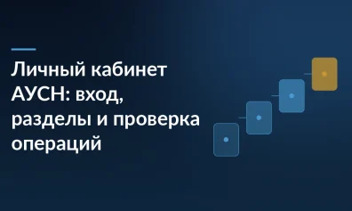 Личный кабинет АУСН: вход, разделы и проверка операций до 7-го числа