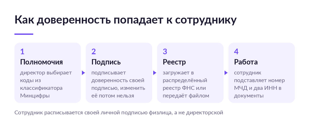 Схема из четырёх шагов: директор выбирает полномочия, подписывает доверенность своей подписью, загружает её в реестр ФНС и передаёт сотруднику номер доверенности