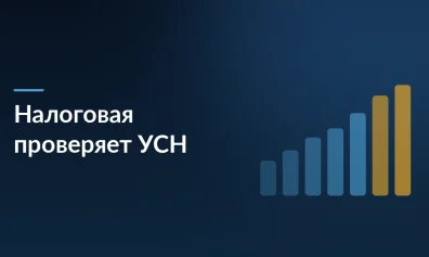 Налоговая проверяет УСН: фиктивная миграция и баллы маркетплейсов под ударом