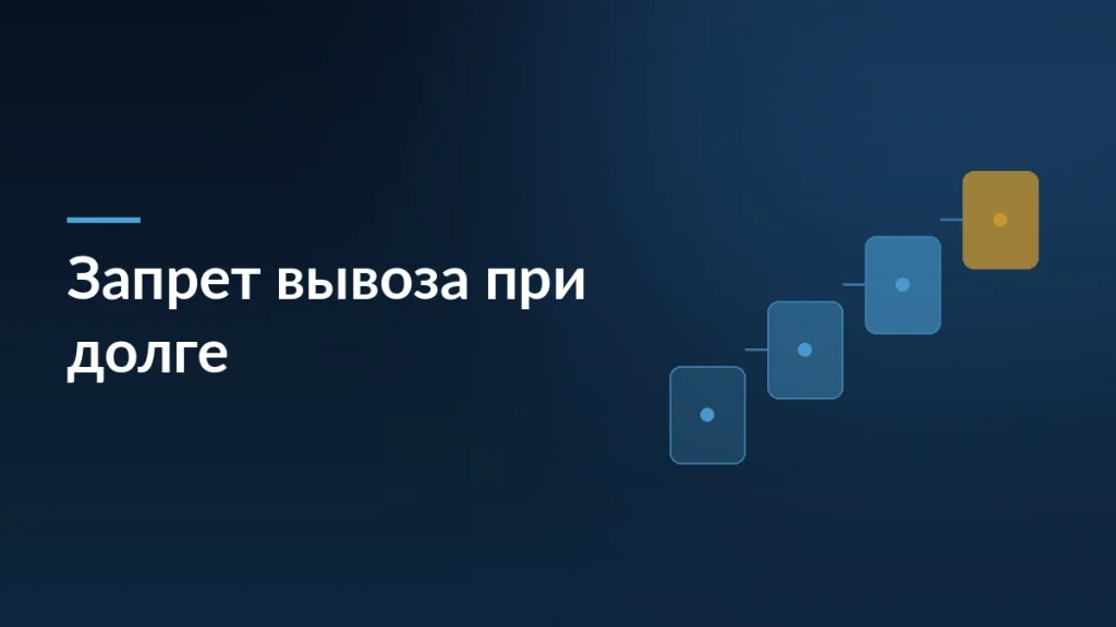 Обложка статьи о запрете вывоза и возврата товаров на Ozon при задолженности: ступени процесса