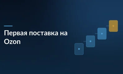 Первая поставка на Ozon: полное руководство для новичков от выбора схемы до приёмки товара