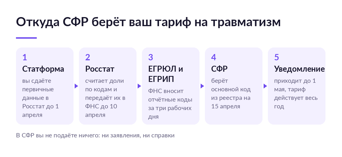 Схема из пяти шагов: статформа в Росстат, передача долей в ФНС до 10 апреля, запись отчётных кодов в ЕГРЮЛ, тариф СФР по реестру на 15 апреля, уведомление до 1 мая