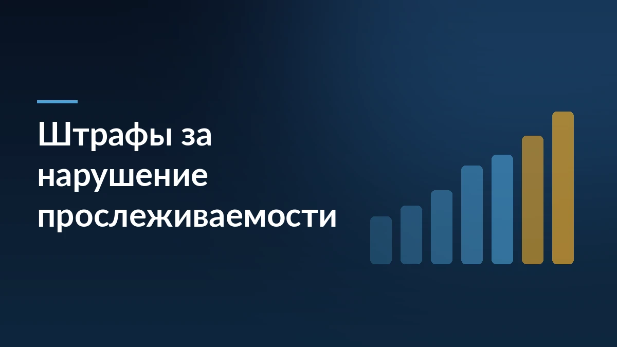 Тёмно-синяя обложка с заголовком «Штрафы за нарушение прослеживаемости» и растущим столбчатым графиком справа