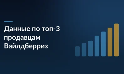 Wildberries открыл точные данные по топ-3 продавцам: как использовать для анализа монополизации