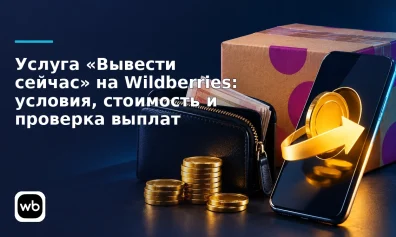Услуга «Вывести сейчас» на Wildberries: условия, стоимость и проверка выплат